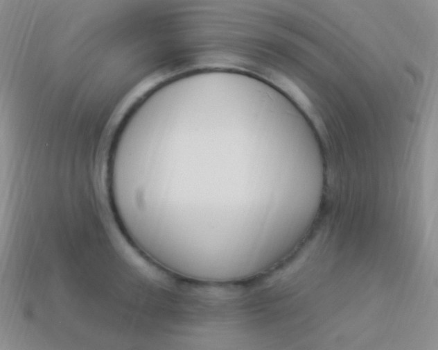 X0000114240947200910231521