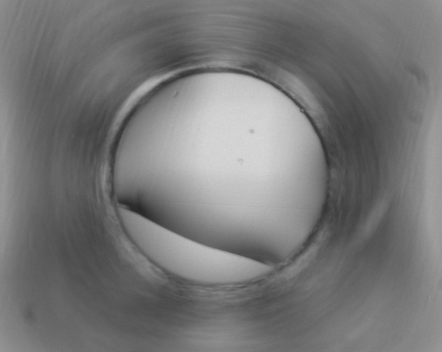 X0000114240948200910231521
