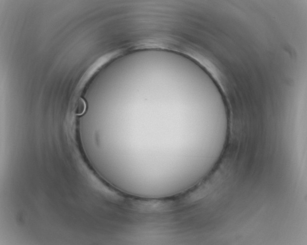 X0000114240949200910231521