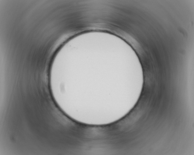 X0000114240950200910231521