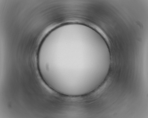 X0000114240951200910231521
