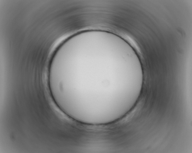 X0000114240952200910231521