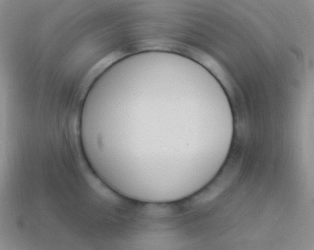 X0000114240954200910231521