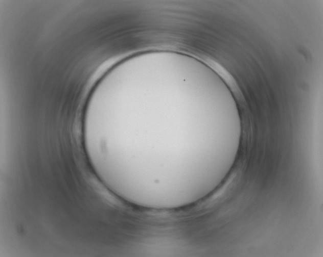 X0000114240956200910231521