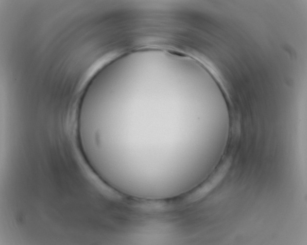 X0000114240957200910231521