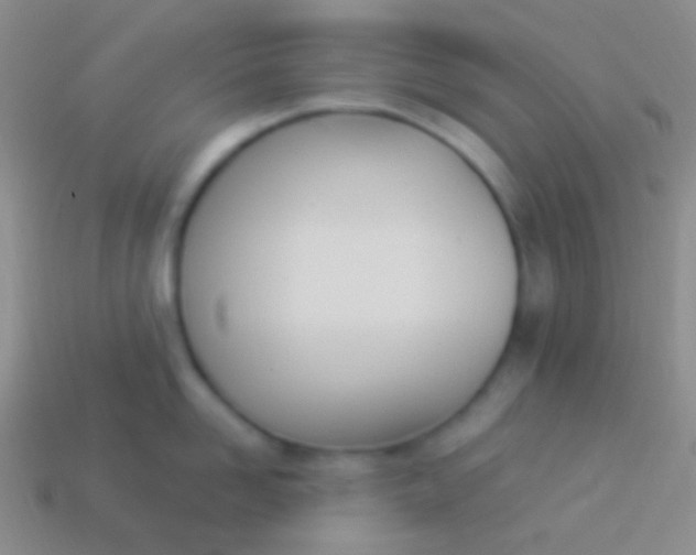 X0000114240958200910231521