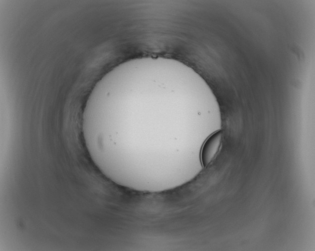 X0000114240961200910231521