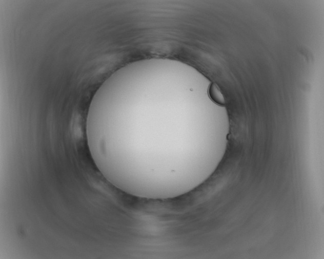 X0000114240962200910231521