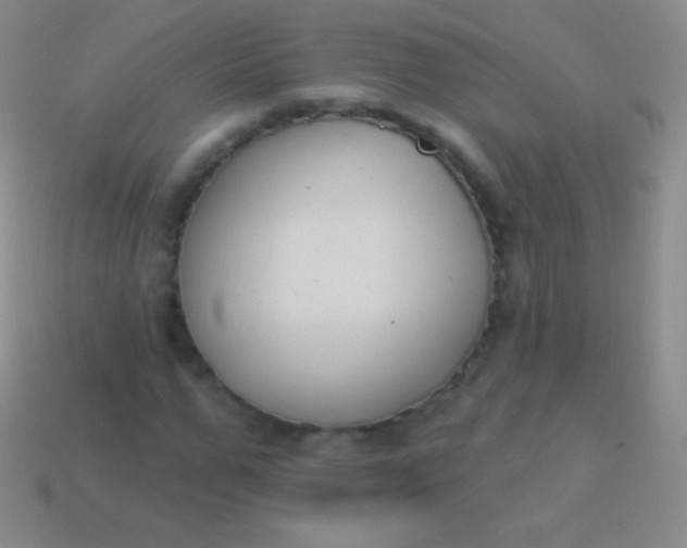 X0000114240967200910231521