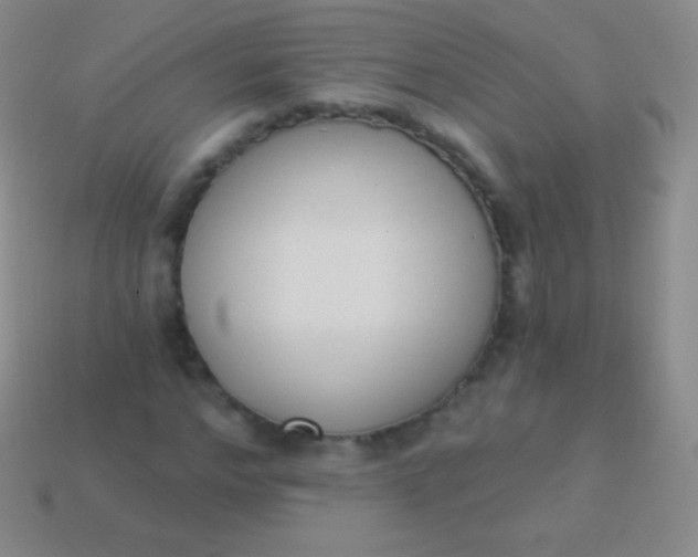 X0000114240968200910231521