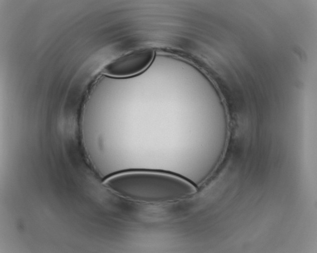 X0000114240969200910231521