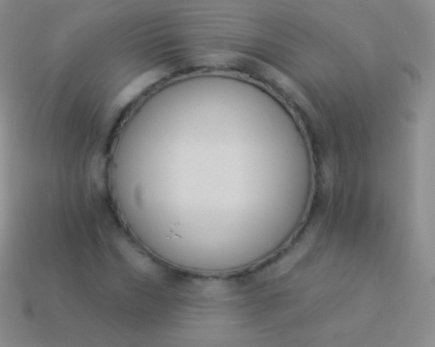 X0000114240970200910231521