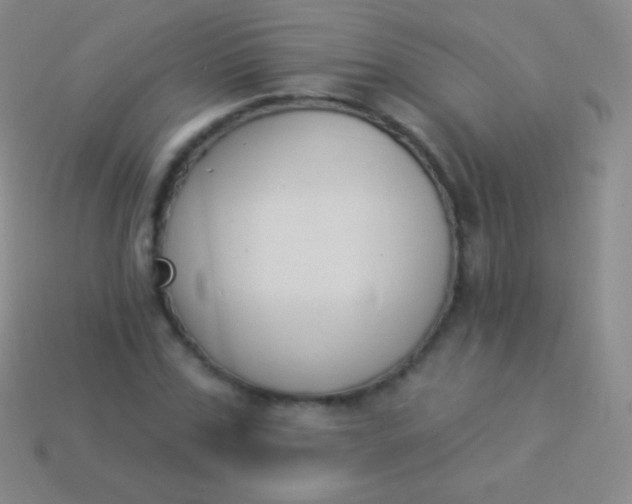 X0000114240971200910231521