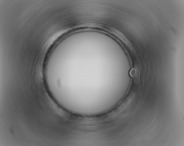 X0000114240972200910231521