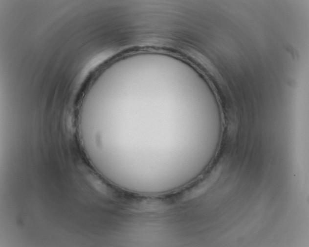 X0000114240974200910231521