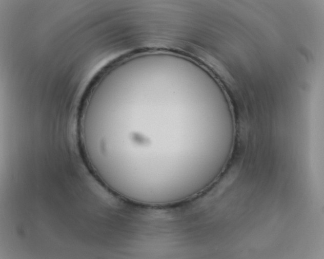 X0000114240976200910231521