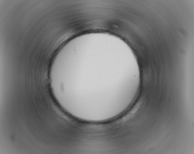 X0000114240977200910231521