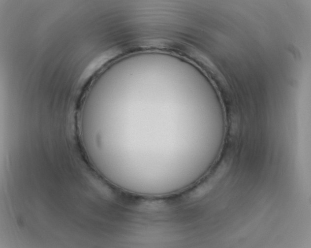 X0000114240978200910231521