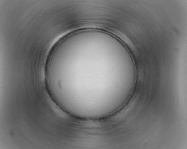 X0000114240980200910231520