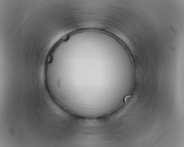 X0000114240983200910231520