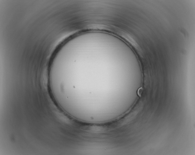 X0000114240984200910231520