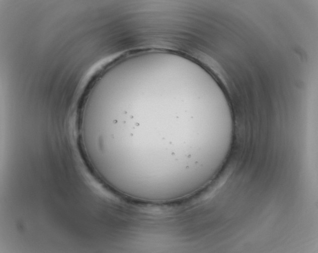 X0000114240987200910231520