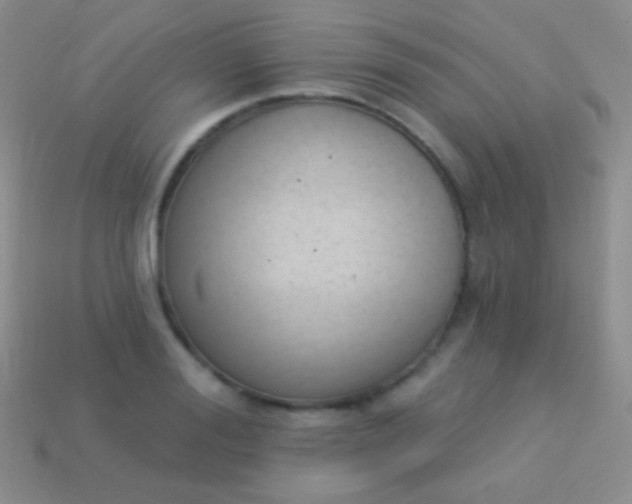 X0000114240988200910231520