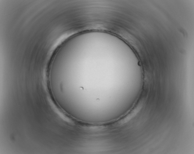 X0000114240989200910231520