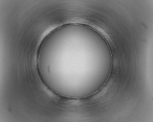 X0000114240990200910231520