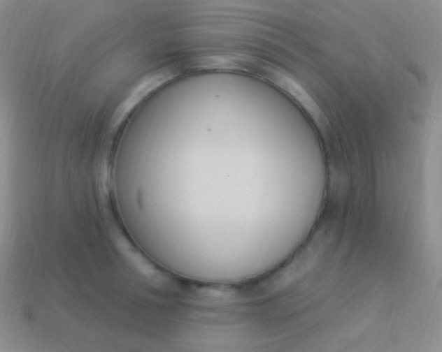 X0000114240994200910231520
