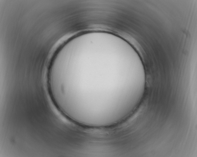 X0000114240995200910231520