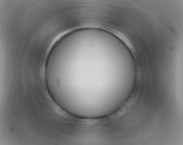 X0000114240996200910231520