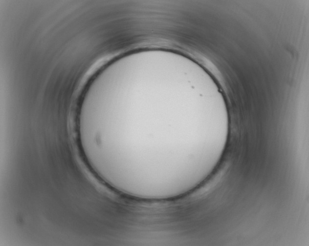X0000114240997200910231520