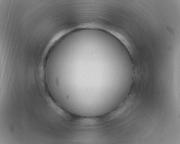 X0000114240998200910231520