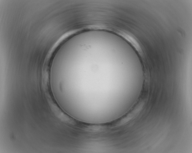 X0000114241000200910231520