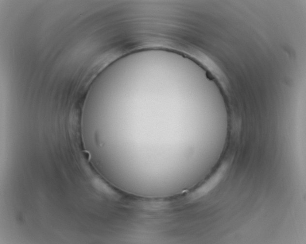 X0000114241001200910231520