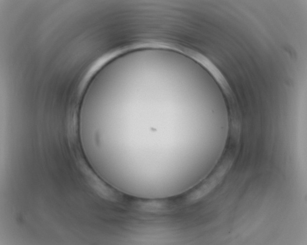 X0000114241004200910231520