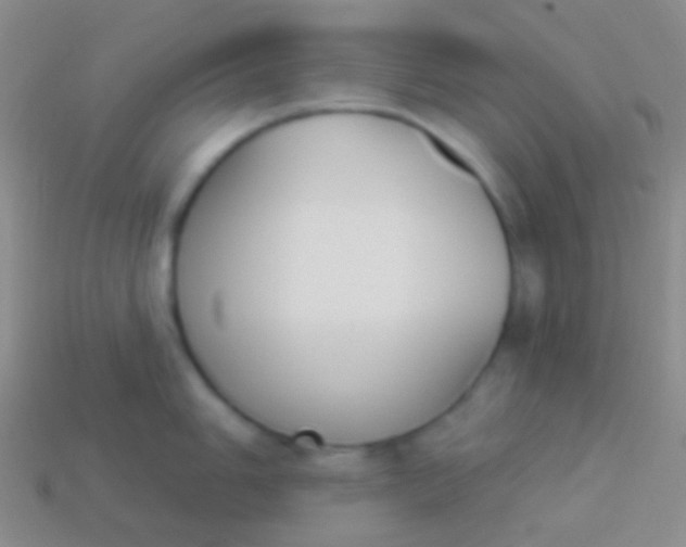 X0000114241006200910231520