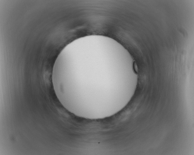 X0000114241010200910231520