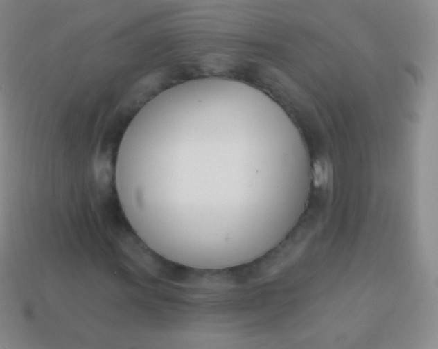 X0000114241011200910231520