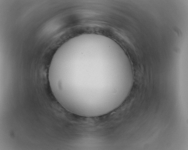 X0000114241013200910231520