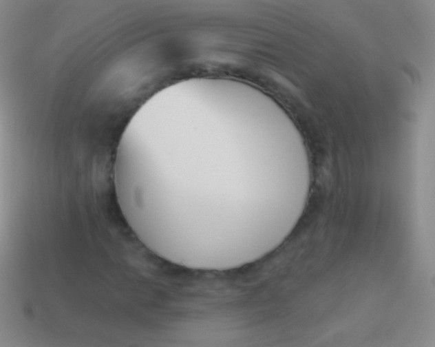 X0000114241014200910231520