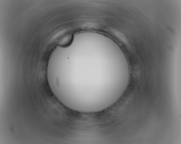 X0000114241015200910231520