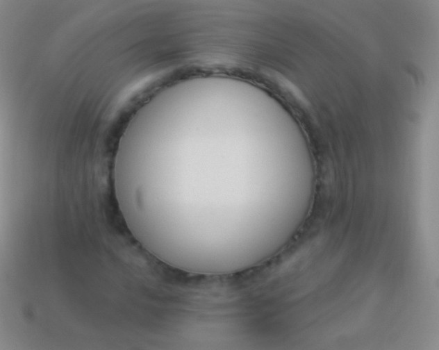 X0000114241016200910231520