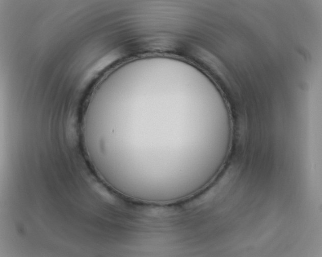 X0000114241018200910231520