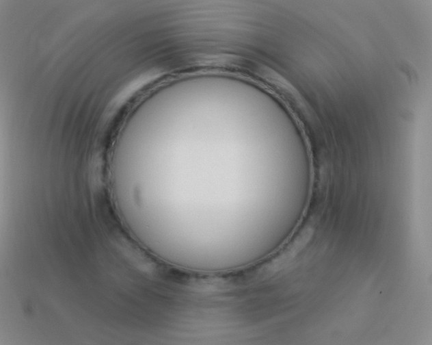 X0000114241019200910231520