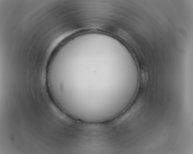 X0000114241020200910231520