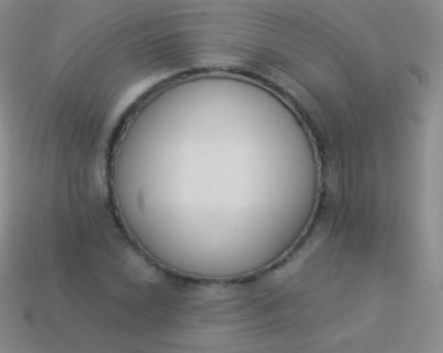 X0000114241022200910231520