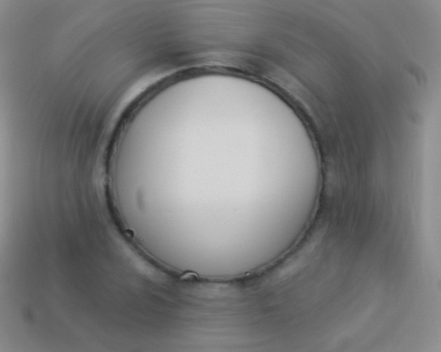 X0000114241024200910231520