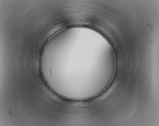 X0000114241025200910231520